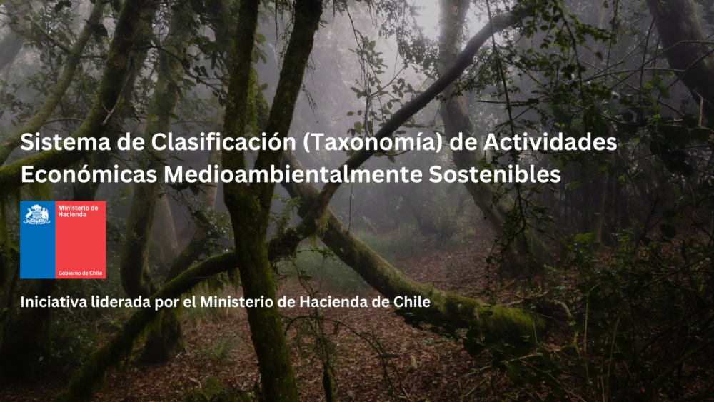 Sistema-de-Clasificacion-Taxonomia-de-Actividades-Economicas-Medioambientalmente-Sostenibles-1-1536x864