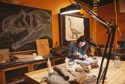 E4460550-Dinosaur_laboratory